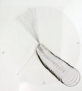 Spiral drawing with overlapping elliptical forms and tonal shifts showing day and night lengths across 38 days